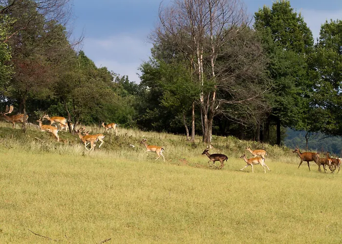 Hyatt Regency Здравен курорт Правец